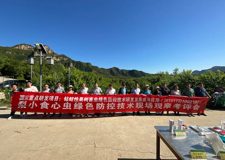 国家重点研发计划项目子课题“梨小食心虫绿色防控技术研发及集成与应用”现场观摩会在北京平谷顺利召开