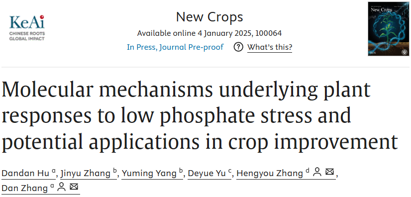 New Crops | 河南农业大学张丹课题组综述植物响应低磷胁迫的分子机制及其在作物改良中的潜在应用