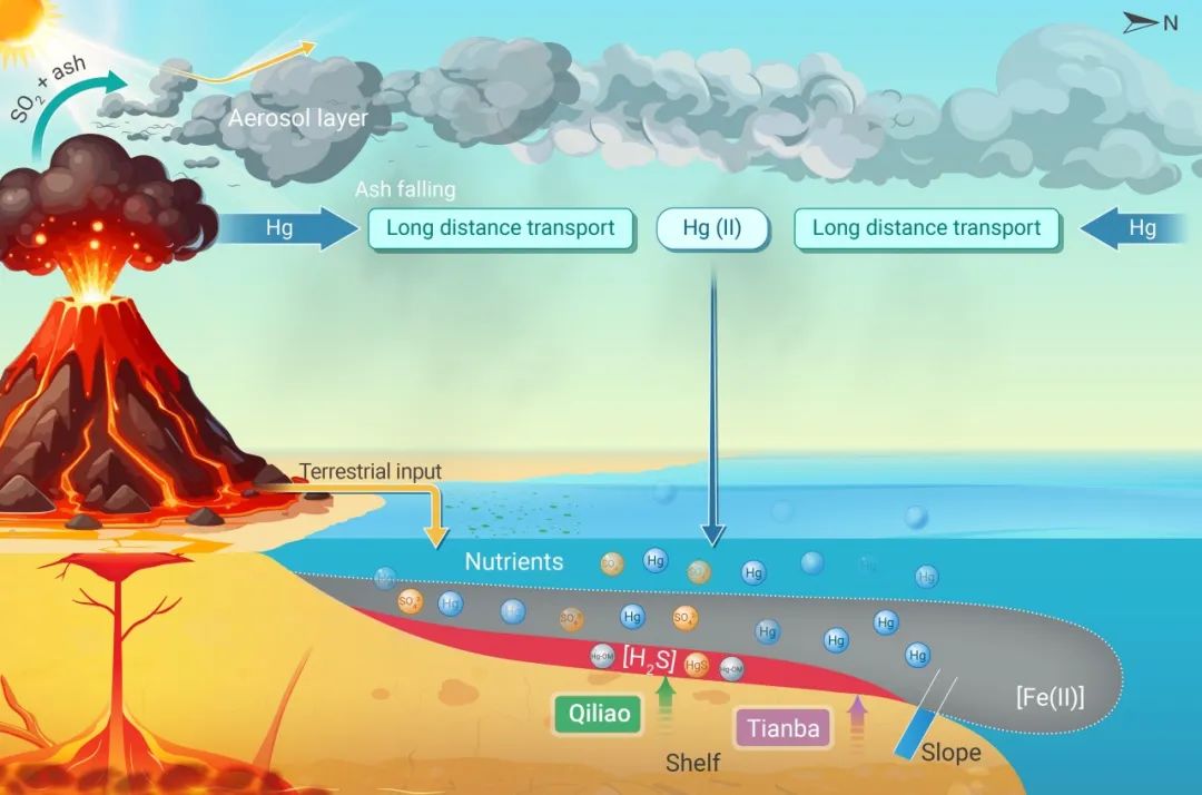 The Innovation Geoscience | 汞同位素揭示火山活动与奥陶纪末环境气候变化及生物大灭绝的潜在联系