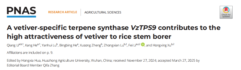 PNAS｜浙江省农业科学院与浙江大学联合揭示-香根草引诱水稻害虫二化螟的秘密