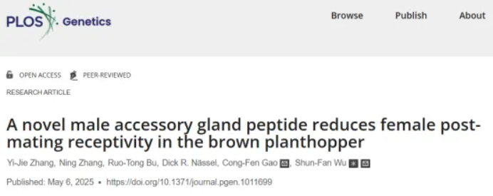 PLOS Genetics|南京农业大学高聪芬/吴顺凡教授团队揭秘褐飞虱生殖调控关键蛋白，害虫防治再添新靶标