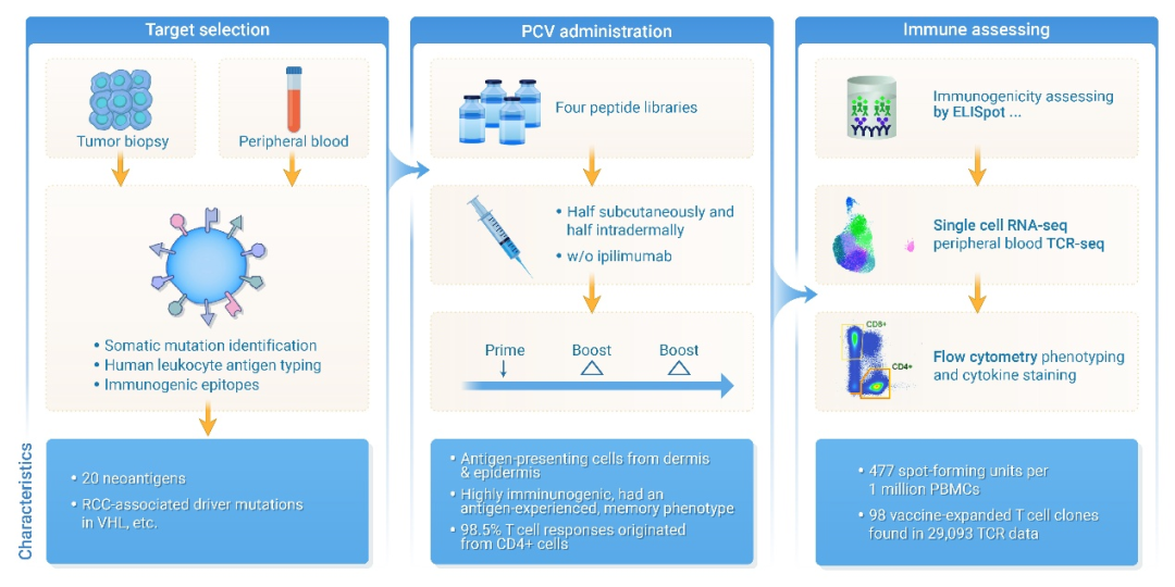 The Innovation Medicine | 个性化新抗原肿瘤疫苗：晚期肾细胞癌的终结者？