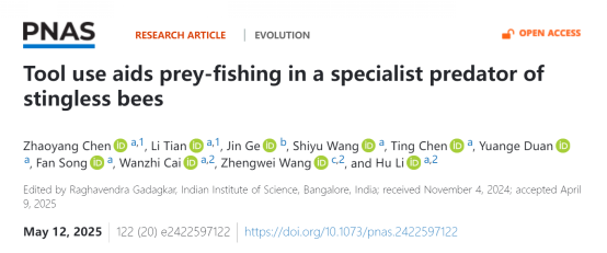 PNAS | 中国农业大学彩万志、李虎教授团队揭示猎蝽使用工具诱捕无刺蜂的行为及其化学生态学机制