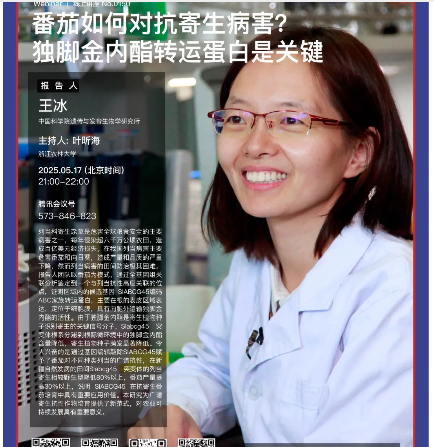 Innovation Webinar | 王冰：番茄如何对抗寄生病害？独脚金内酯转运蛋白是关键