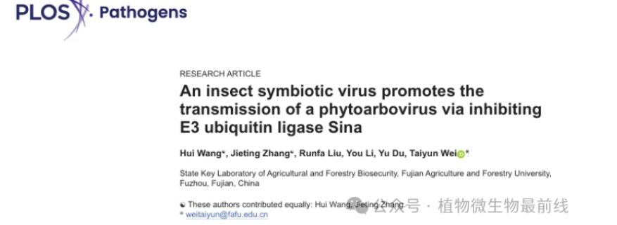 PLOS Pathogens | 福建农林大学魏太云研究员团队揭示昆虫共生病毒促进虫媒病毒传播新机制