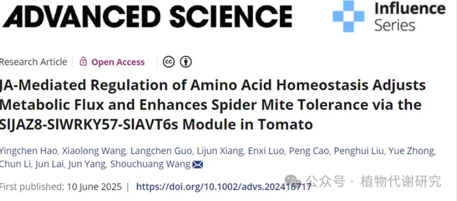 Advanced Science | 海南大学王守创团队揭示番茄氨基酸稳态促进防御代谢来增强抗蜘蛛螨的新机制