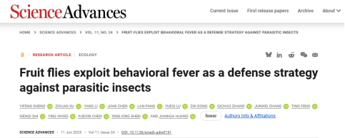 Science Advances | 浙江大学黄健华教授课题组揭示寄主害虫利用行为性发热抵御寄生蜂的分子机制