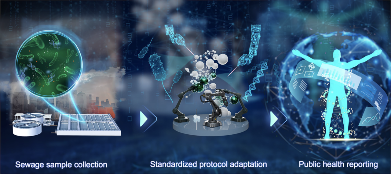 The Innovation | 污水中的健康密码：如何用废水监测追踪抗生素耐药性？