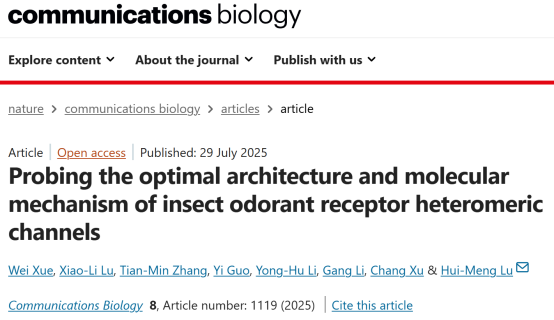 Commun. Biol. | 西北工业大学卢慧甍副教授团队利用分子动力学模拟揭示昆虫气味受体异源通道的最优构型和激活机制