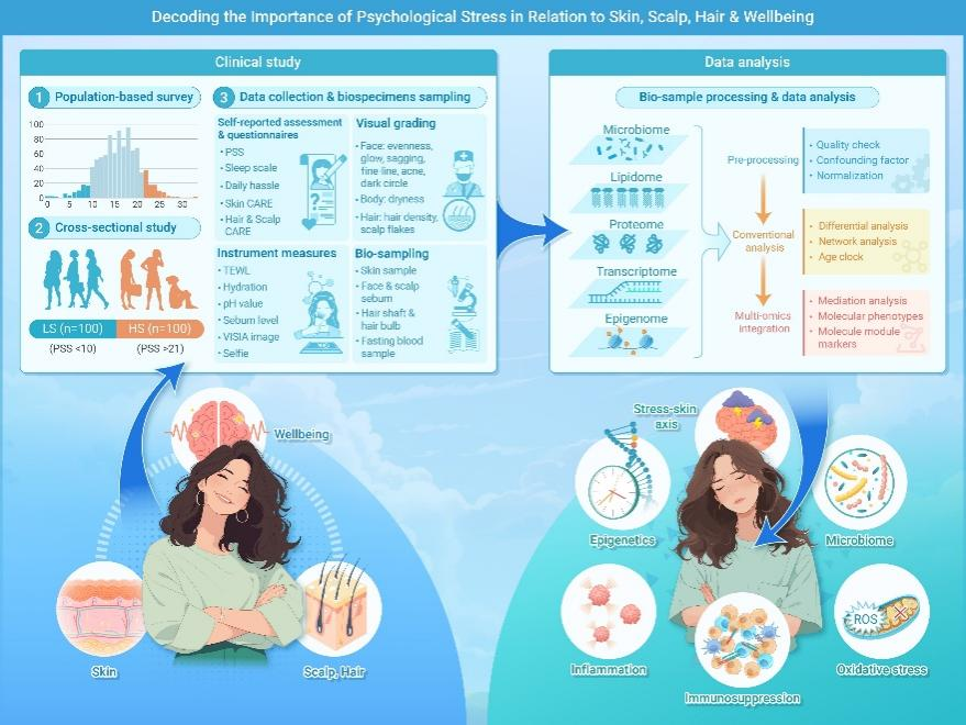 The Innovation Life | 揭开‘压力肌’的面纱：多组学联合策略解析慢性压力对皮肤健康的影响