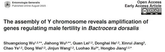EG-西南大学蒋红波团队成功破译了橘小实蝇基因组“最后一块拼图”：完成Y染色体的组装