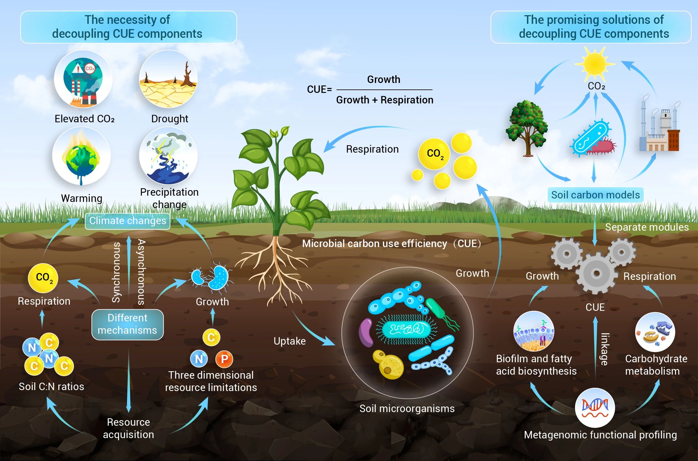 The Innovation Geoscience | 生长 vs. 呼吸：解析土壤微生物碳利用效率的核心视角