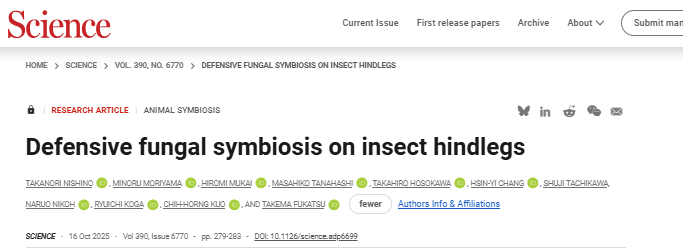 Science重磅！-昆虫与真菌的共生新发现：真菌为蝽象卵打造物理防御屏障