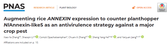 PNAS-浙江大学/云南大学/杜克大学合作研究揭示水稻对抗褐飞虱的新策略