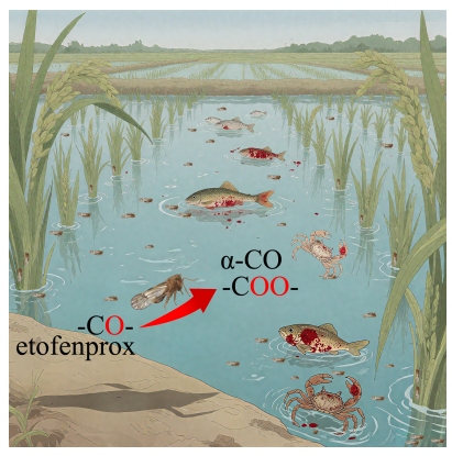 会议通知 | 关于召开“中国昆虫学会第十五届青年学者研讨会暨首届昆虫学博士生博士后论坛”的通知（第二轮）