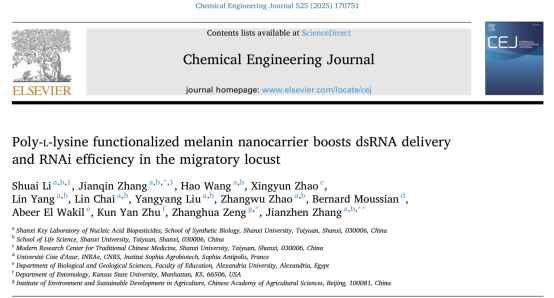 CEJ-聚赖氨酸功能化黑色素纳米载体增强飞蝗dsRNA递送和RNAi效率