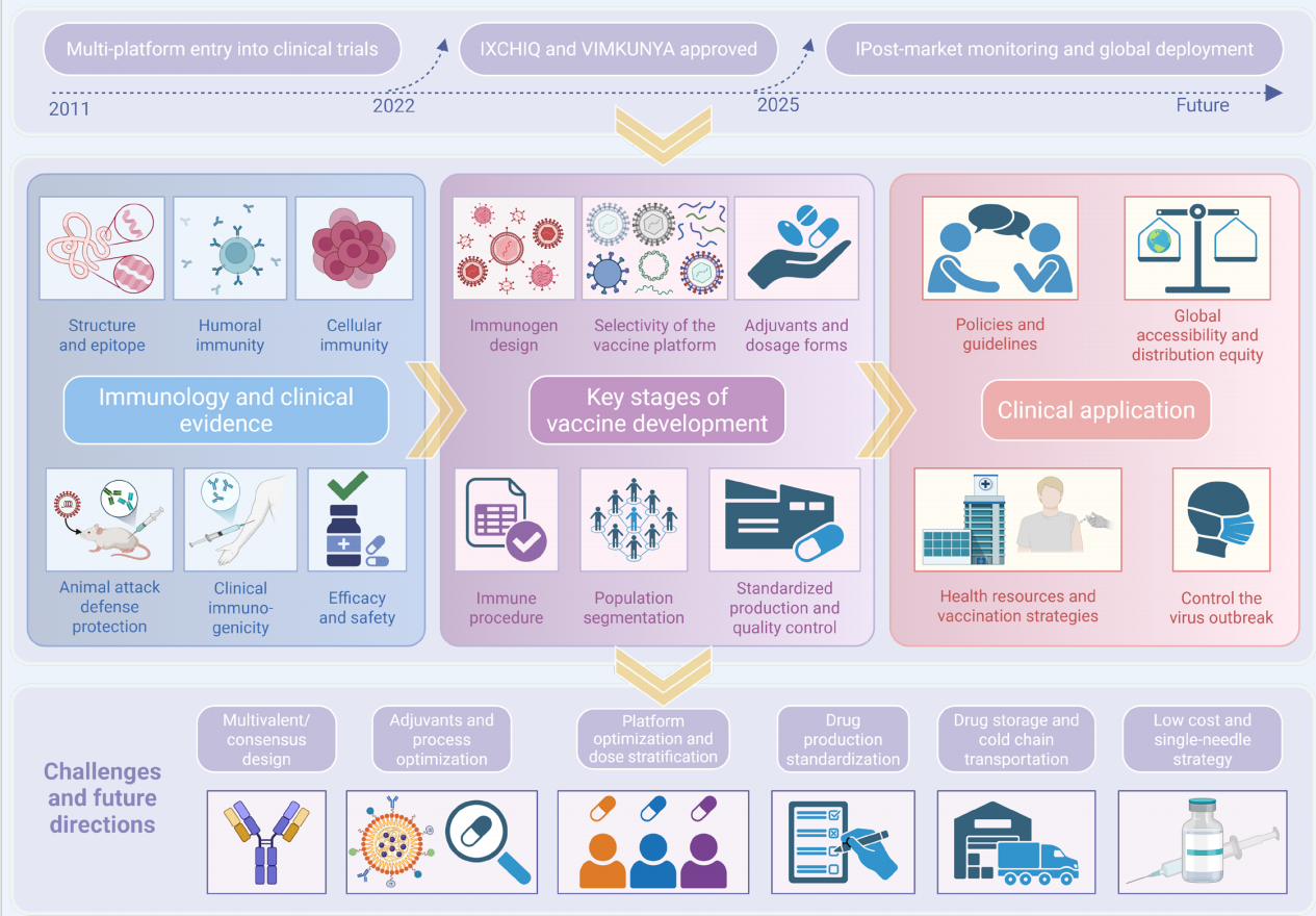 The Innovation Medicine | 追击热带病毒：基孔肯雅热疫苗如何迎来“免疫革命”？