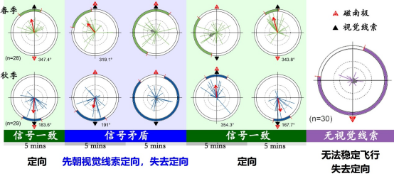 胡高教授团队揭示了夜间迁飞蛾类整合地磁和视觉信号实现定向迁飞