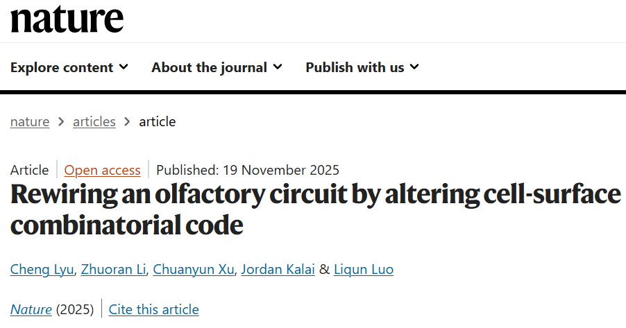 Nature 背靠背：骆利群院士团队实现神经环路重编程 | 一作之一已回国加入西湖大学