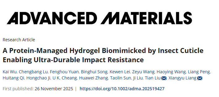 AM (IF 26.8) ▏刘田和梁翔禹团队阐明昆虫头壳抗冲击机制并开发相关仿生材料