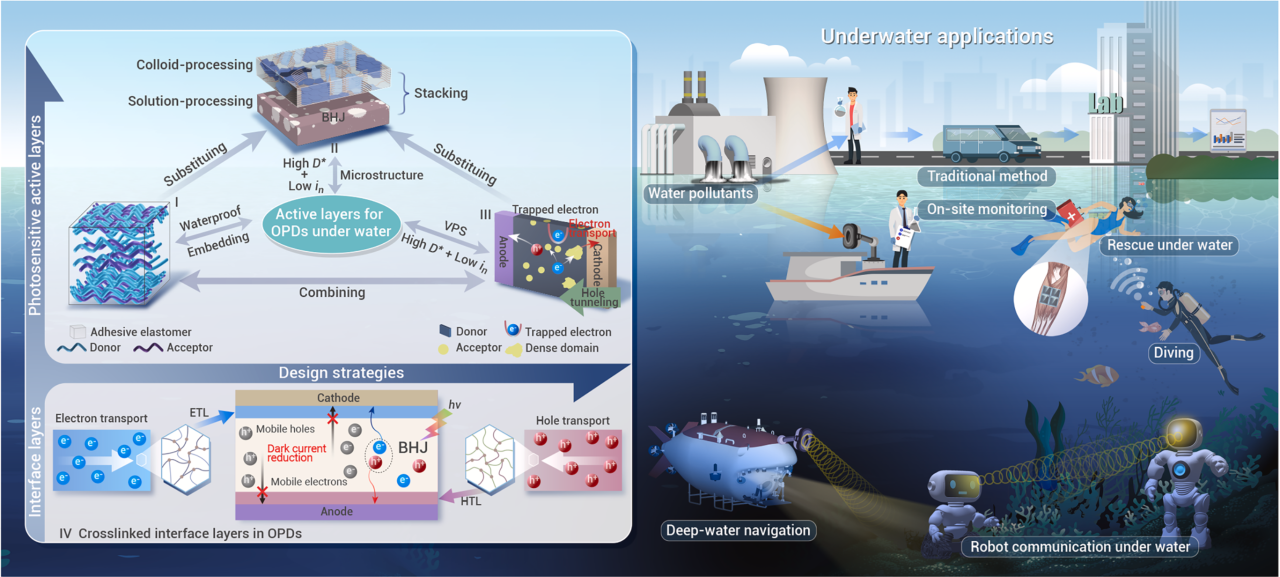 The Innovation | 有机光电探测器赋能水下应用新篇章