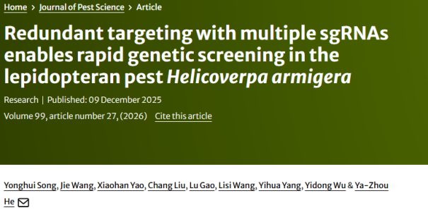 JPS-吴益东/何亚洲团队成功开发适用于鳞翅目昆虫快速遗传筛选的多sgRNA靶向技术